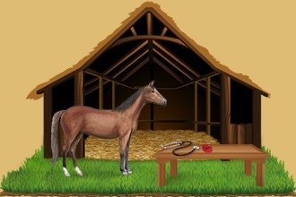 Take care of the horses belonging to other breeders in your equestrian center and help them grow and progress every day.